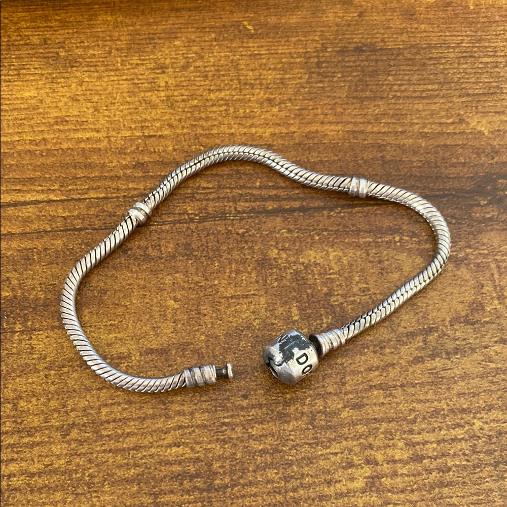 Silver Pandora Charm Bracelet (tarnished)